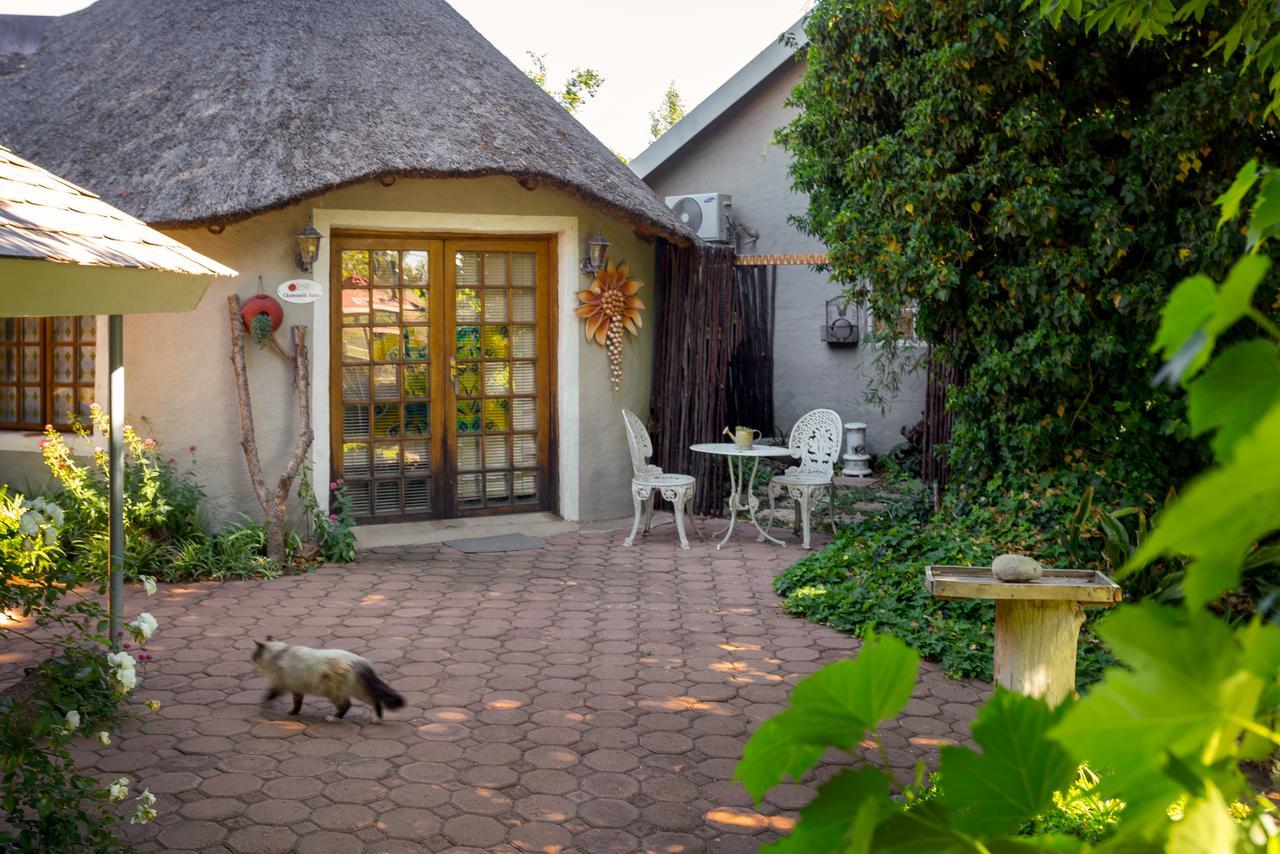 Morning Glory Cottages Venterstad ภายนอก รูปภาพ